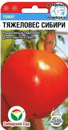 картинка Томат. Тяжеловес Сибири (20шт) Сибирский Сад от магазина Сибдача