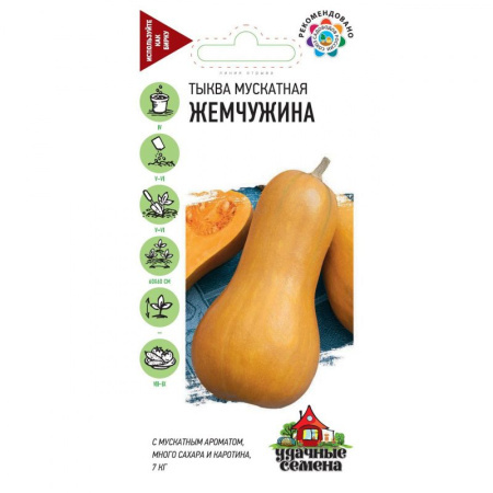 картинка Тыква мускатная, Жемчужина (1 гр) Удачные семена от магазина Сибдача