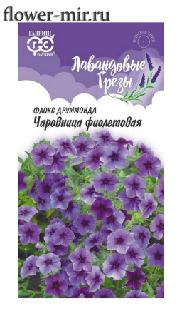 картинка Флокс Друммонда. Чаровница фиолетовая (0,05г.) Гавриш от магазина Сибдача